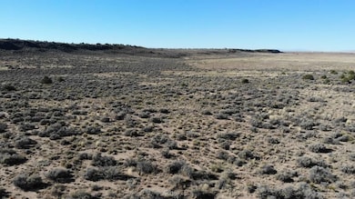 15842 23rd St, Blanca, CO 81123 - photo 6