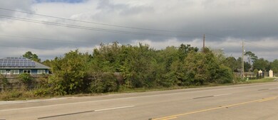 0000 W Parkwood, Friendswood, TX 77546 - photo 5