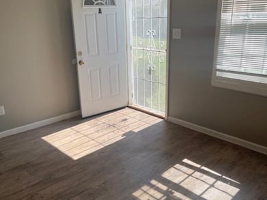 Entrance foyer featuring dark wood-type flooring