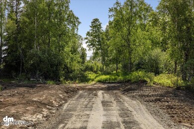 L4 Snow Flake Cir, Anchorage, AK 99516 - photo 6