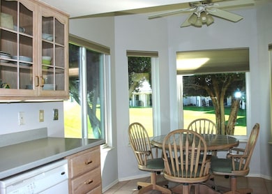 666 S Saguaro Way, Mesa, AZ 85208 - photo 6