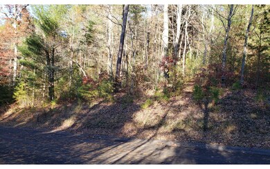 LT 43 Cant Hook Dr, Ellijay, GA 30540 - photo 4