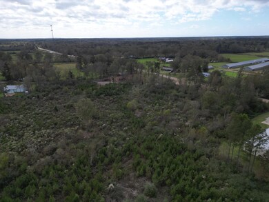 DJI_0737