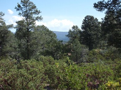 Views to Diamond Point