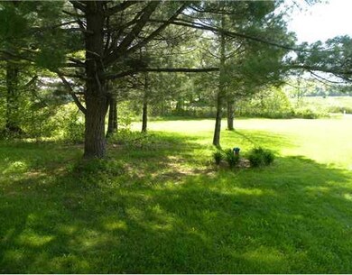 Yard/Garden.