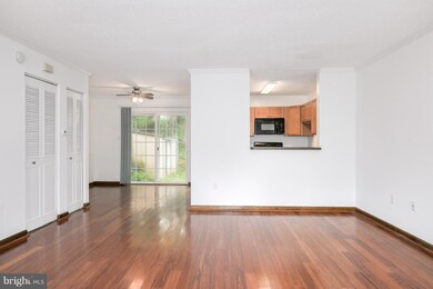 11442 Stoney Point Place, Germantown, MD 20876 - photo 7