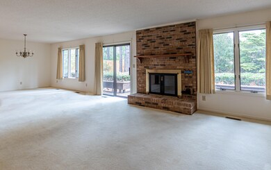 Living Room Fireplace