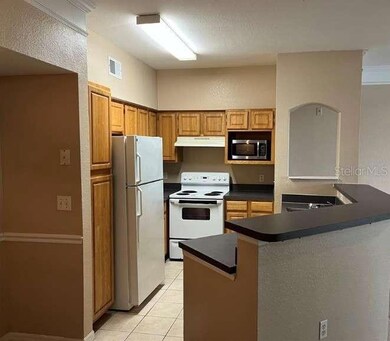 3384 Corona Village Way unit 206, Orlando, FL 32835 - photo 6