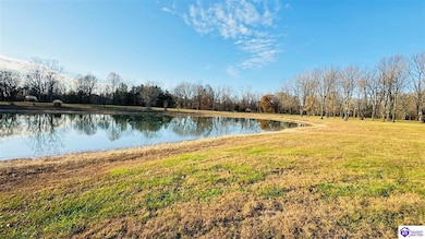 56 Lake of Woods Loop, Hardinsburg, KY 40143 - photo 4