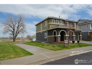 14166 Madison Way, Thornton, CO 80602 - photo 2