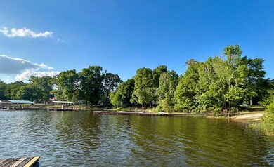 0 Eufaula Hwy, Fort Gaines, GA 39851 - photo 7