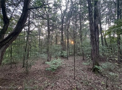 TBD Old 88 Rd, Rudy, AR 72952 - photo 2
