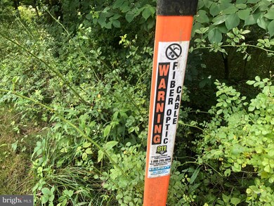 0 Corner Rt 259 & Hunkerson Gap Rd unit WVHD2000974, Mathias, WV 26812 - photo 6