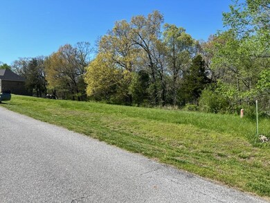 15046 Park Ridge Dr, Lowell, AR 72745 - photo 4