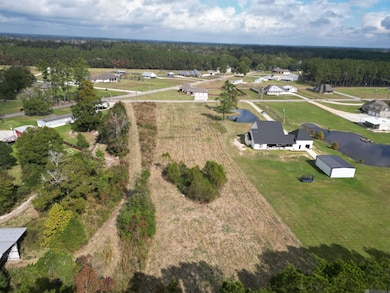 CC-2-A & B Herman Ernest Rd, Denham Springs, LA 70706 - photo 2