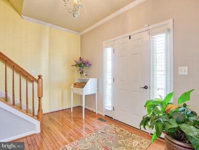 423 Lilys Way, Winchester, VA 22602 - photo 4