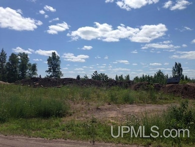 TBD Ingot and Us41, Hancock, MI 49930 - photo 4