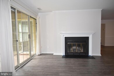 17 Rainflower Path unit 203, Sparks Glencoe, MD 21152 - photo 7