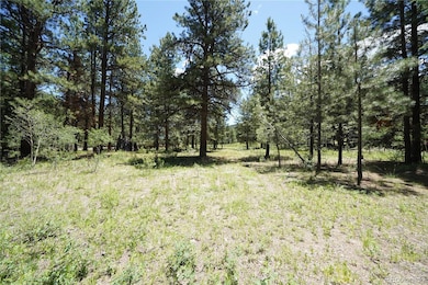 136 Elk Meadow Run, Antonito, CO 81120 - photo 2