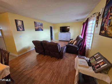 1914 E Oakland Ave, Johnson City, TN 37601 - photo 4