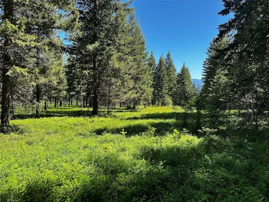 Nhn Three Corners Rd S, Trout Creek, MT 59874 - photo 3