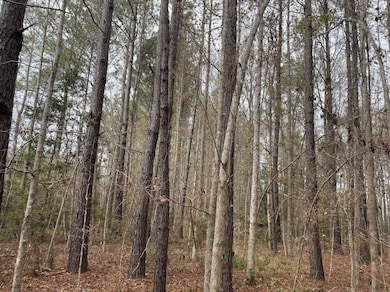 0 Dodge Ln unit 25032006, Round O, SC 29474 - photo 3