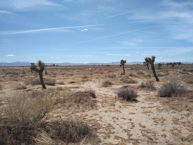 0 Vic Ave D12 & 107th St E unit 21002410, Lancaster, CA 93535 - photo 3