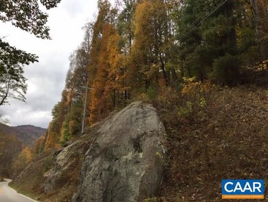 TBD Crabtree Falls Hwy unit 11, Tyro, VA 22976 - photo 6