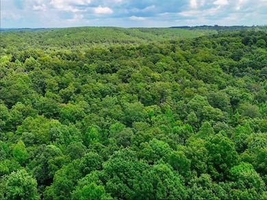 0 Shores Trail unit RTC3000425, Stewart, TN 37175 - photo 2