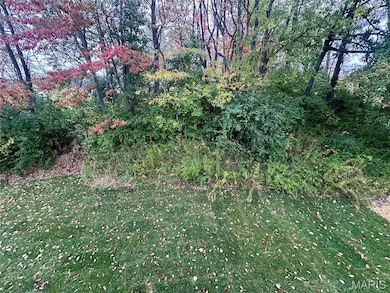 View of local wilderness