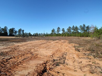 117 Hafner Ln, Lucedale, MS 39452 - photo 3