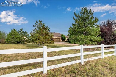 View of yard with driveway