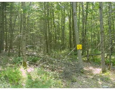 63 Moose Walk Rd, Westport Island, ME 04578 - photo 2