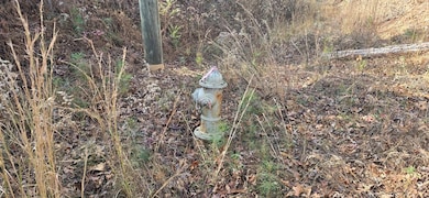 00001 Georgia 369, Ball Ground, GA 30107 - photo 3