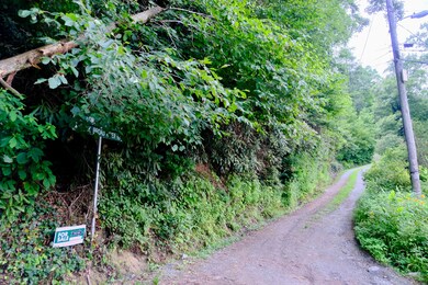 Co Rd 1701, Hendersonville, NC 28792 - photo 7