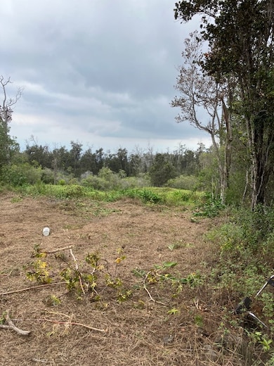 0 Catamaran Ln unit 723953, Ocean View, HI 96737 - photo 3