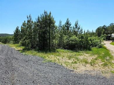 21 Red Holly Trail, Broken Bow, OK 74728 - photo 5