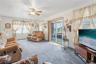 Ample of natural sunlight!