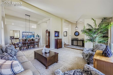 6718 Barrel Race Dr, Colorado Springs, CO 80923 - photo 6