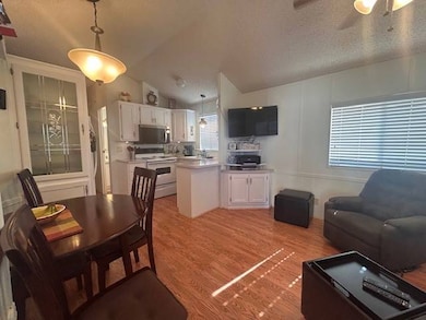 3403 E Main St unit 1918, Mesa, AZ 85213 - photo 4