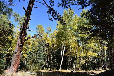 370 Road 182w, Westcliffe, CO 81252 - photo 6