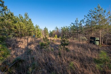 00 Buchanan Dr, Star, NC 27356 - photo 2