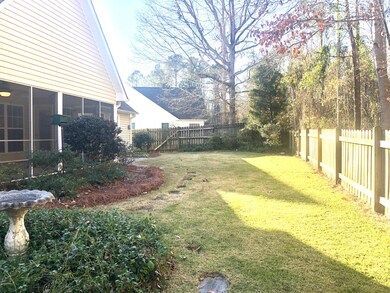 back yard1
