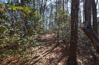 Trails