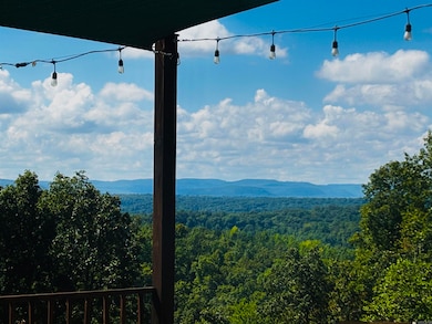 12985 U S 65, Saint Joe, AR 72675 - photo 6