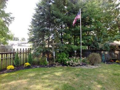 McDonell 033