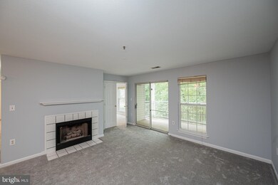 5014 Stone Shop Cir, Owings Mills, MD 21117 - photo 6