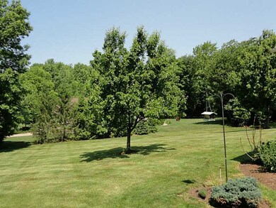 View. Back Yard