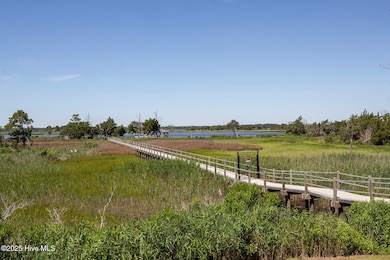 6514 Shark Tooth Trail, Wilmington, NC 28412 - photo 5