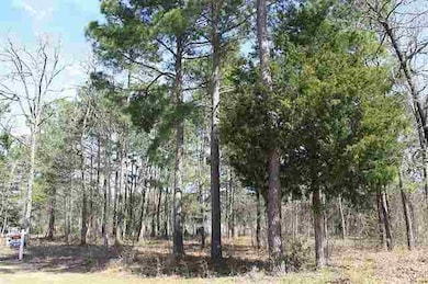 3045 Stonegate Blvd, Tyler, TX 75703 - photo 7